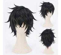 The Rising of The Shield Hero Tate No Yuusha No Nariagari Raphtalia Naofumi Iwatani Filo Wig Hair Cosplay Costume + Free wig Cap Naofumi Iwatani