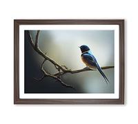 The Riveting Swallow Bird Framed Wall Art Print A2 Walnut