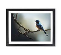The Riveting Swallow Bird H1022 Framed Print for Living Room Bedroom Home Office Décor, Wall Art Picture Ready to Hang, Black A2 Frame (64 x 46 cm)