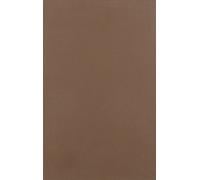 The Road to Rebellion : Class Formation and Kansas Populism, 1865-1900