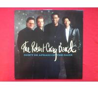 THE ROBERT CRAY BAND - Cray, Robert Don't Be Afraid Of The Dark LP Mercury MERH129 EX/EX 1988 as Robert Cray Band, sleeve has seam split on top edge
