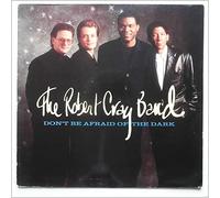 The Robert Cray Band - DON'T BE AFRAID OF THE DARK LP (VINYL ALBUM) US MERCURY 1988