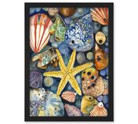 The Rock Pool Seaside Clams Starfish Bathroom Artwork Framed Wall Art Print A4 Artery8 Black One Size