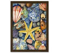 The Rock Pool Seaside Clams Starfish Bathroom Artwork Framed Wall Art Print A4 Artery8 Brown One Size