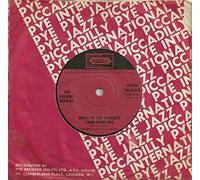 The Rockin' Berries - What In The World's Come Over You