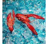 The Roof Dogs - Here You Are [VINYL]