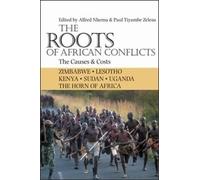 The Roots of African Conflicts: The Causes and Costs