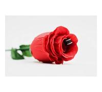 The Rose 2.0 Magic Tricks 1 Rose Disappear to 3 Magic Magiciain Stage Party Illusions Gimmick Props Mentalism Comedy (red)