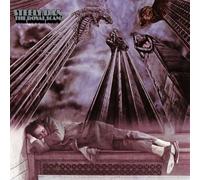 Steely Dan - The Royal Scam