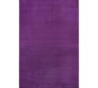 THE RUGS Uni Colours Modern Plain Rug Short Pile Polypropylene Area Rug in Purple | Size: 200 cm x 280 cm THE RUGS Purple 200 cm x 280 cm