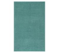 THE RUGS Washmellow Rug Living Room - Washable Non-Slip Small 50x80 cm, Duck Egg Blue 9 mm Soft Low Pile Bedroom Kitchen
