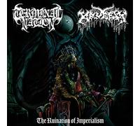 The Ruination Of Imperialism [VINYL]