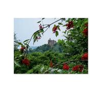 The ruins of Fleckenstein Castle,Puzzle 1000 Piece Jigsaw Puzzles for Adults, Classic Puzzle Difficult Puzzle for Kids Teenagers Educational Game Toys Gift for Home Travel(38x26cm)-AT19