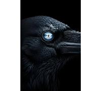 The Rune of Skadi's Wrath