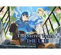 The Sacred Tears TRUE Steam CD Key