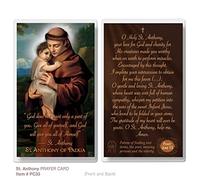 THE SAINTS COLLECTION St. Anthony of Padua Laminated Prayer Card Pack of 20