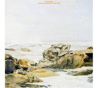 The Saints - Little Madness To Be Free, A [Australian Import]