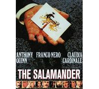 The Salamander