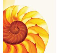 The Samuel Jackson 5 - Easily Misunderstood [VINYL]