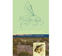 The Sand Wasps: Natural History and Behavior