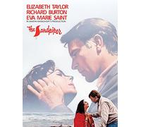 The Sandpiper (1965)