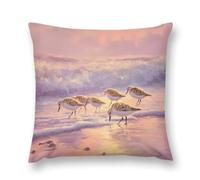The Sandpiper Birds on Beach Cozy Pillow Case Cover Plush