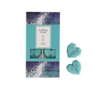 The Scented Home Sea Spray Wax Melts