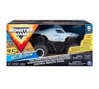 The Science Timeline Wallbook: 1 (What on Earth Wallbook)