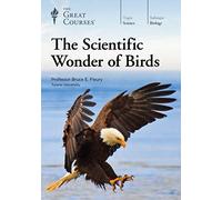 The Scientific Wonder of Birds