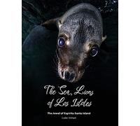 The Sea Lions of Los Islotes: The Jewel of Espiritu Santo Island
