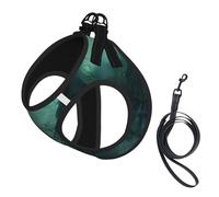 The sea Witch Inspired Print Small Dog Harness with Leash Set, No Escape Easy Walk Puppy Harnesses for Training Walking
