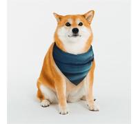 The Seaside at Night Dog Bandana for Small Medium Large Dogs, Cat Dogs Kerchief Triangle Bibs Scarf for Girl Or Boy