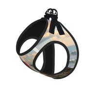The Seaside Lighthouse Print Reflective No Choke Pet Vest Harness,Adjustable Soft Padded Dog Harness With Easy Control Handle