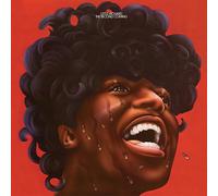 The Second Coming by Little Richard (Vinyl Record 2025)