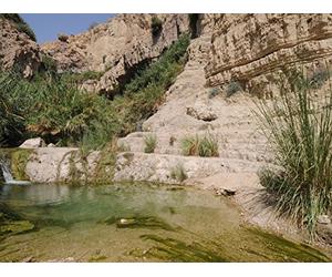 The Second Jewish Revolt against the Romans