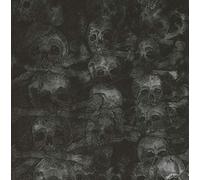 The Secret - Agnus Dei