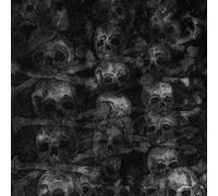 The Secret - Agnus Dei [Japan CD] DYMC-178