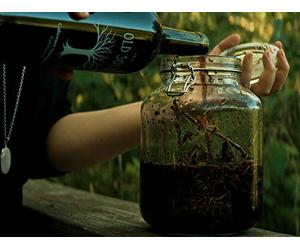 The Secret Commonwealth