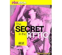 The Secret In The Attic (Edited Version)