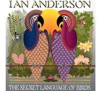 The Secret Language of Birds
