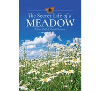 The Secret Life of a Meadow