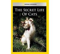 Artist Not Provided - Secret Life of Cats [DVD] [Region 1] [US Import] [NTSC]