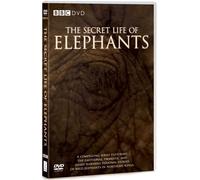 The Secret Life of Elephants [DVD]