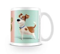 The Secret Life Of Pets Pyramid International (Max) Official Boxed Ceramic Coffee/Tea Mug, Multi-Colour, 11 oz/315 ml