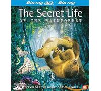 Secret Life Of The Rainforest 3D