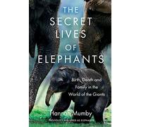 The Secret Lives of Elephants | Paperback