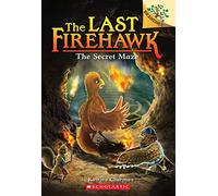 The Secret Maze: A Branches Book (the Last Firehawk #10): Volume 10