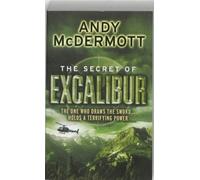 The Secret of Excalibur (Nina Wilde/Eddie Chase 3) by Mcdermott, Andy (2009) Paperback