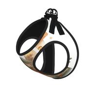 The Secret Of Mushroom House Dog Harness - Breathable, Reflective, And Adjustable Pet Vest, Suitable For Small Cats And Dogs