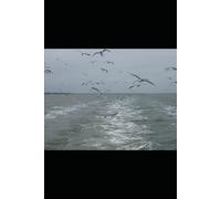 The Secrets Of Shadow Bay And Other Stories